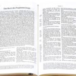 Bibelrunde Magazin | Die Bibel